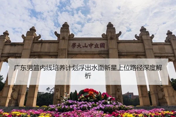 广东男篮内线培养计划浮出水面新星上位路径深度解析